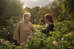 Driff 2026, domani nel carcere di Trani Edoardo Winspeare e il suo film Vita mia