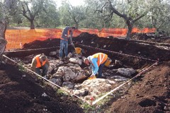 Dalla tragedia al capolavoro, ecco la scoperta di alcuni archeologi tranesi