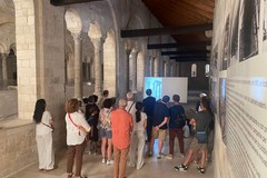 Torna Architetture Ardite, visite guidate al Campanile della Cattedrale di Trani