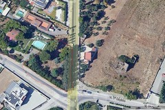 Legambiente Trani : "Ogni giorno addio a un polmone verde"