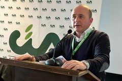 Crisi idrica anche nella BAT: "Oliveti e rischio con lo stop irriguo”