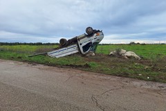 Si ribalta sulla provinciale tra Andria e Bisceglie, sul posto la Polizia locale