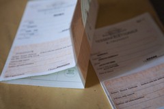 Referendum sulla Giustizia 2026, affluenza ore 12: a Trani ha votato il 14,32%