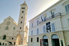Alla scoperta del Polo Museale di Trani: 10 anni di Storia, Arte, Archeologia e Comunità