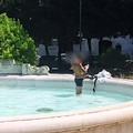 Trani | Bagno fuori programma nella fontana di Piazza della Repubblica: la foto diventa virale e riaccende la polemica sul decoro urbano