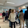 Elezioni Trani 2026, affluenza ore 19 ha votato il 37,60 % degli elettori. Dato in leggero aumento rispetto al 2020