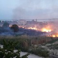 Incendi nelle campagne, il Comune emana l'ordinanza