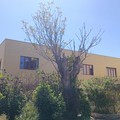 «Un sogno che rinasce»: domani l'inaugurazione del centro parrocchiale rinnovato di Santa Maria delle Grazie