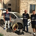 Commercio del pesce sul porto di Trani, scattano le sanzioni