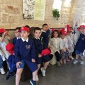 Scuola Petronelli, 60 bambini a scuola di gelato