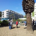 Un nuovo albero spunta in piazza Martiri di via Fani