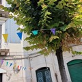 Ferragosto a Trani: toh, son tornate le bandierine!