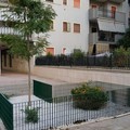 Quartiere Pozzopiano, i residenti adottano due aiuole: piantumati un albero e quattro piante