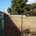 Villa Bini, terminati gli interventi di bonifica del parco