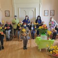 Cento tulipani  "sospesi " donati a Villa Nappi di Trani