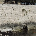 Muraglione della Villa comunale di Trani, Folgore: «Quanto è sicuro?»