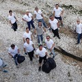  "Amici del mare - gruppo sub di Trani ": i volontari dell'associazione a lavoro anche oggi