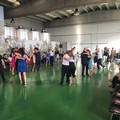 Festival del tango, si parte oggi con lezioni e seminari