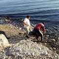 Pulizia della costa, l'associazione Amici del mare alle prese con la bonifica dello Scoglio di Frisio