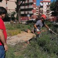 Pinetina di via Andria, al via la ripresa dei lavori dopo il lockdown