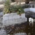 «E se portassimo Sophia Loren a visitare villa Bini?»