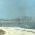 Incendio in via Andria, in fiamme il terreno incolto a ridosso della ferrovia
