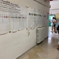 Elezioni 2020, alta affluenza a Trani. Seggi aperti fino alle 15