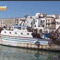 Porto e pescato, Tg2 Weekend celebra per la seconda volta le eccellenze di Trani