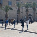 I ristoranti di Trani protestano in piazza Quercia: «Soli non possiamo rialzarci»