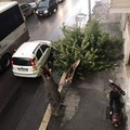 Maltempo in città, cade un albero in corso Imbriani