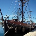 Trani, salta lo spettacolo della Amara Zee