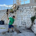 Dallo sport all'ambiente: l'esperienza del Parkour aiuta i volontari a ripulire un tratto difficile della costa