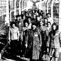 Shoah, sollevare quel manto d’indifferenza