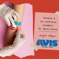 "Donate sangue ": l'appello di Avis Trani per questo periodo di emergenza