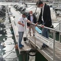 Stop all'inquinamento in mare, a Trani installati tre raccoglitori di rifiuti galleggianti