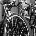 Circa 22mila euro per nuove rastrelliere per bici, archetti per moto e antiscivolo per parcheggi disabili