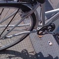 Trani, c’era una volta il bike sharing (sano)