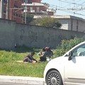 Villa Bini, da parco pubblico a  "prato verde " per picnic