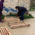 Cani randagi, l'Enpa costruisce le cucce in zona Boccadoro