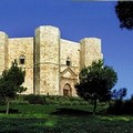 "Castel del Monte. Manuale storico di sopravvivenza "