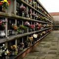 Divieto di vendita fiori al cimitero: gli ambulanti si riuniscono in associazione