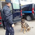 Al lavoro con la droga, arrestato un agente di Polizia Penitenziaria