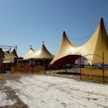 Il circo Orfei fermo a Trani da due mesi: «Noi abbandonati dalle istituzioni»