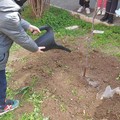  "Prepariamo il futuro con alberi e fiori piantati dai nostri bambini”: l'assessore Colangelo alla Petronelli