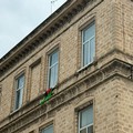 Amedeo Bottaro:  "Oggi, dal Palazzo di Città, esponiamo la bandiera della Palestina "