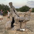 Solidarietà in natura, ContestoLab fa tappa in una masseria