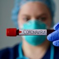 Coronavirus, quattro nuovi casi nella Bat