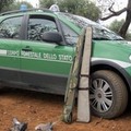 Forestale, denunciati due tranesi per ricettazione