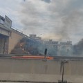 Incendio in un terreno in zona Sant'Angelo, disagi alla circolazione sulla 16bis