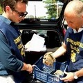Tartarughe esotiche ritrovate in un cassonetto, è caccia ai responsabili